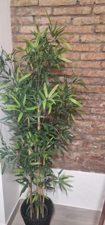 Apartament Barcelona,Apartamento Con Terraza L’Hospitalet de Llobregat Zewnętrze zdjęcie